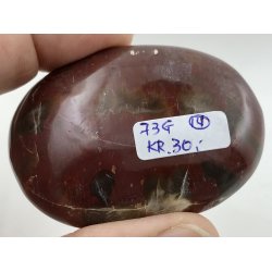 Forstenet tr palmsten-14