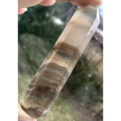 Multi regnbue flourit trn-9