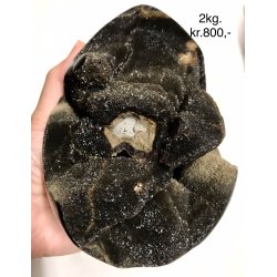 Septarie krystal g -8