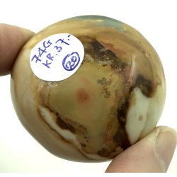 Polychorme jaspis palmsten -20