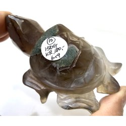 Mos agat skildpadde-10