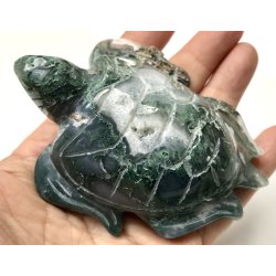Mos agat skildpadde-6