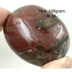 Forstenet tr palmsten-10