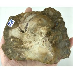 Forstenet tr skive-22