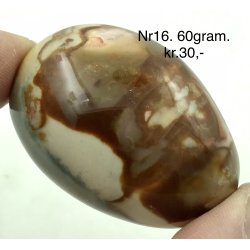 Polychorme jaspis palmsten -16