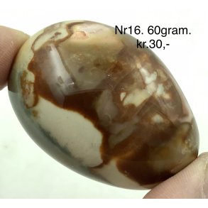 Polychorme jaspis palmsten -16