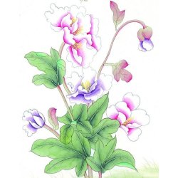 t-time lady t-shirts, med blomster motiv.