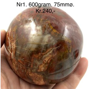 Forstenet tr kugle -1