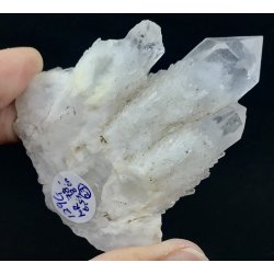 Natur r kaktus bjergkrystal-23