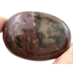 Forstenet tr palmsten-11