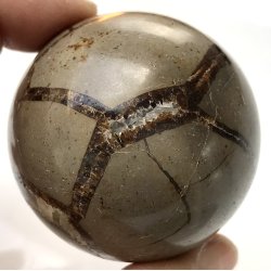 Septarie kugle-1