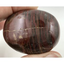 Forstenet tr palmsten-13