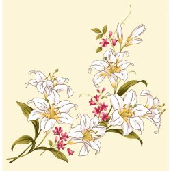 t-time lady t-shirts, med blomster motiv.