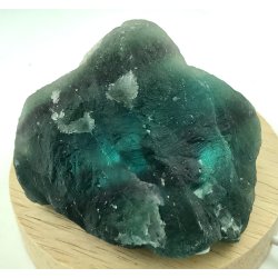 Natur r bl-regnbue flourit-13