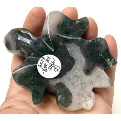 Mos agat skildpadde-5