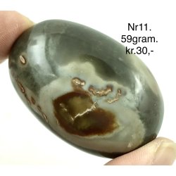 Polychorme jaspis palmsten -11