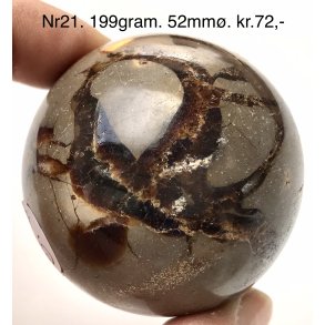 Septarie kugle-21