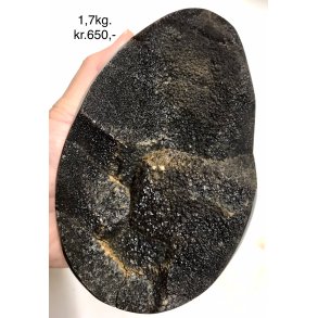 Septarie krystal g -12