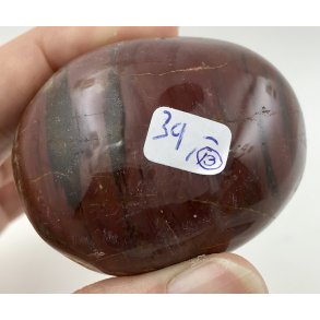 Forstenet tr palmsten-13