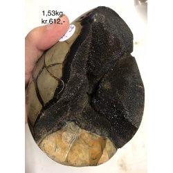 Septarie krystal g -16