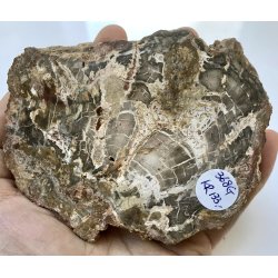 Forstenet tr skive-11