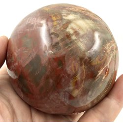 Forstenet tr kugle -1