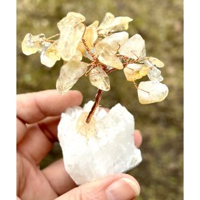 Krystal tr-bjergkrystal fod+citrin