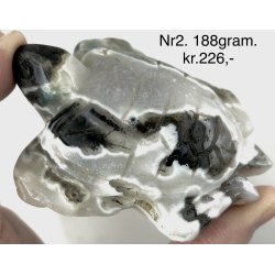 Mos agat skildpadde-2