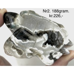 Mos agat skildpadde-2