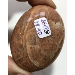 Fersken mnesten palmsten-7