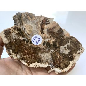 Forstenet tr skive-5