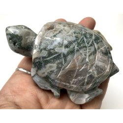 Mos agat skildpadde-11