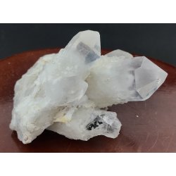 Natur r kaktus bjergkrystal-23