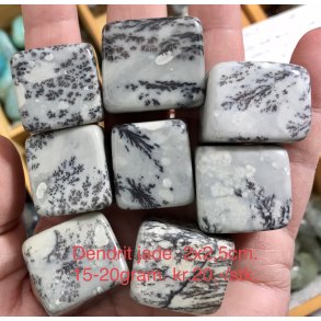 Dendrit jade lommesten. 