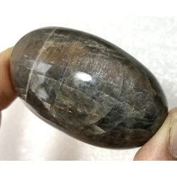 Sort mnesten palmsten-8