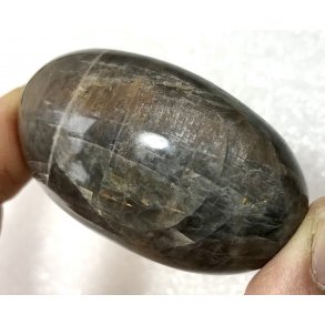 Sort mnesten palmsten-8