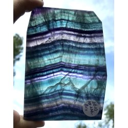 Regnbue flourit skive-4