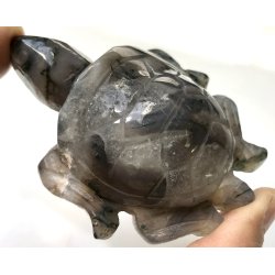 Mos agat skildpadde-3