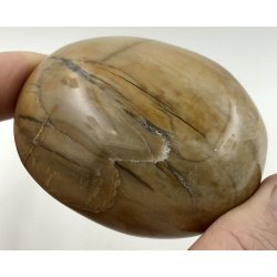 Forstenet tr palmsten-17