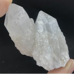 Natur r kaktus bjergkrystal-20