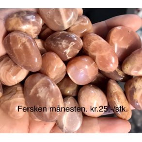 Fersken mnesten lommesten