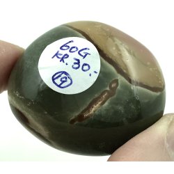 Polychorme jaspis palmsten -19