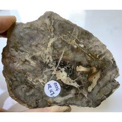 Forstenet tr skive-18