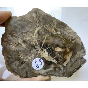 Forstenet tr skive-18