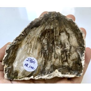 Forstenet tr skive-4