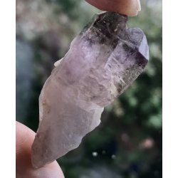 Natur r super seven-6