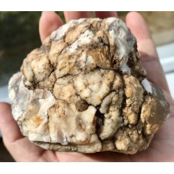 Natur r Blomster agat-8