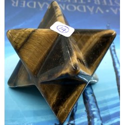 Tigerje makaba stjerne-14