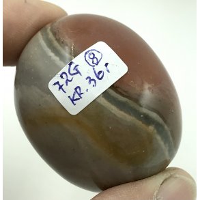 Polychorme jaspis palmsten -8