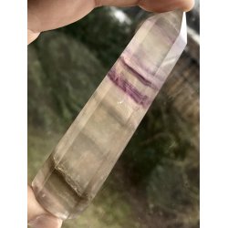 Multi regnbue flourit trn-3